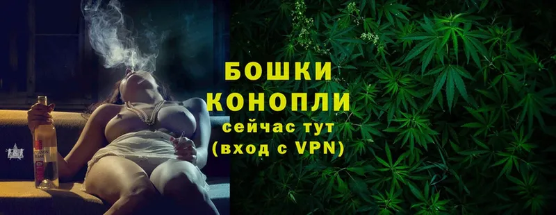 где найти   Лосино-Петровский  ссылка на мегу рабочий сайт  Марихуана OG Kush 